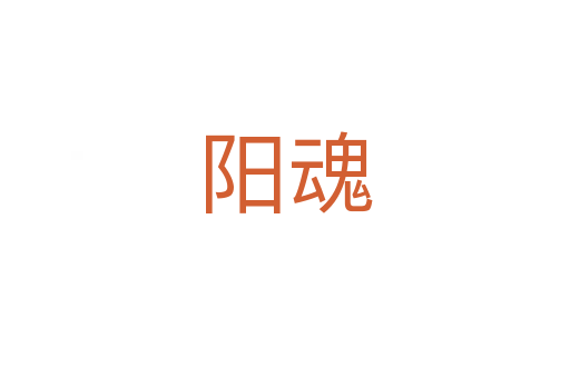 阳魂