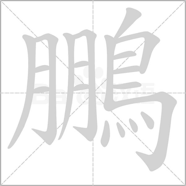 鵬的笔顺动画演示